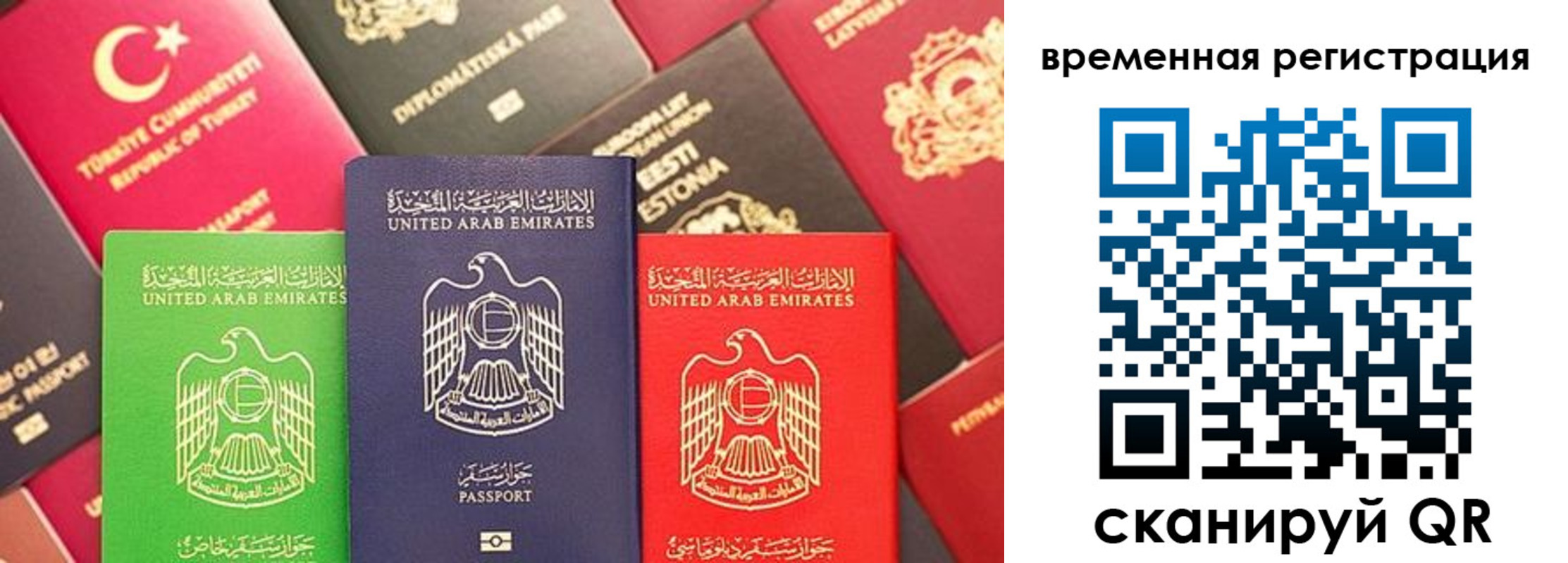 временная регистрация гарантия в Арамили